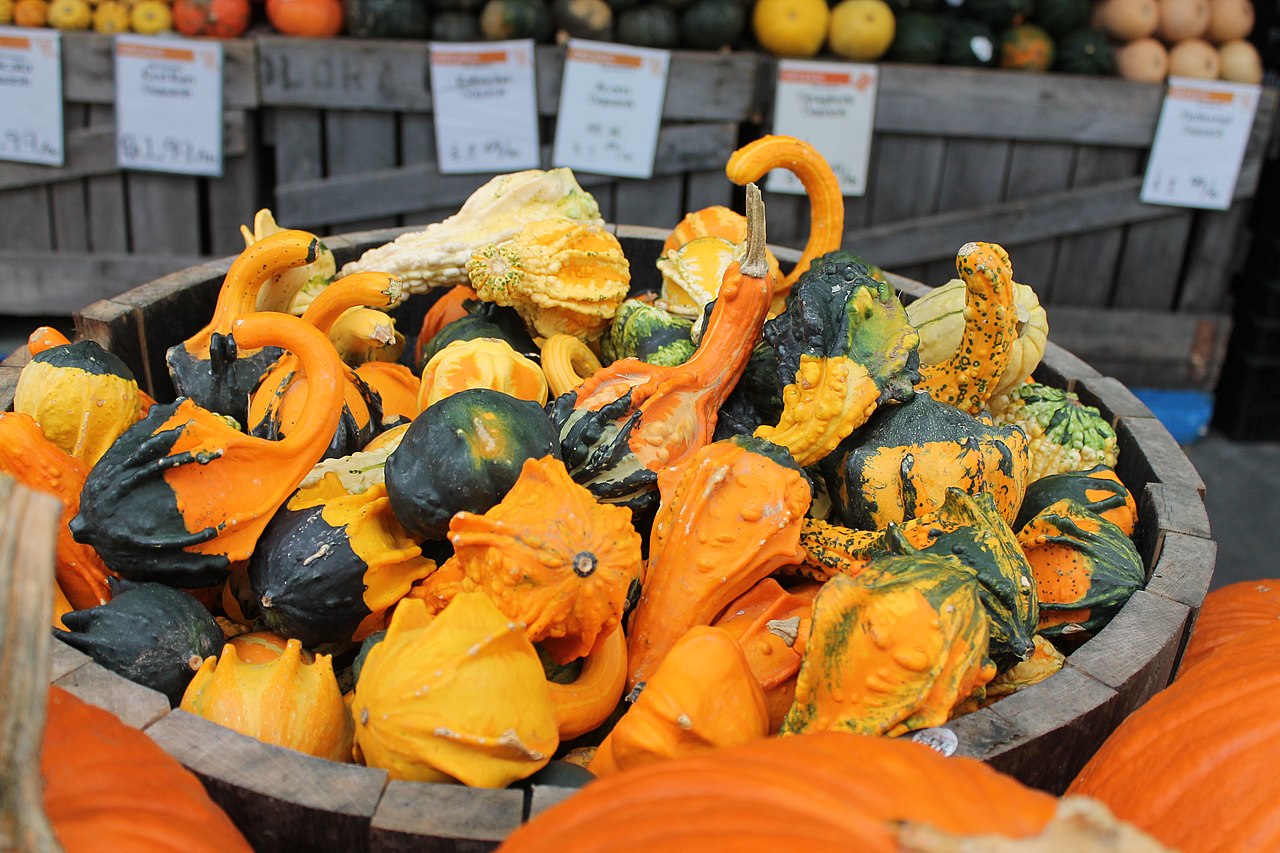 Gourds
