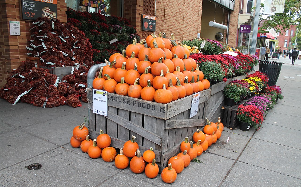 Gourds