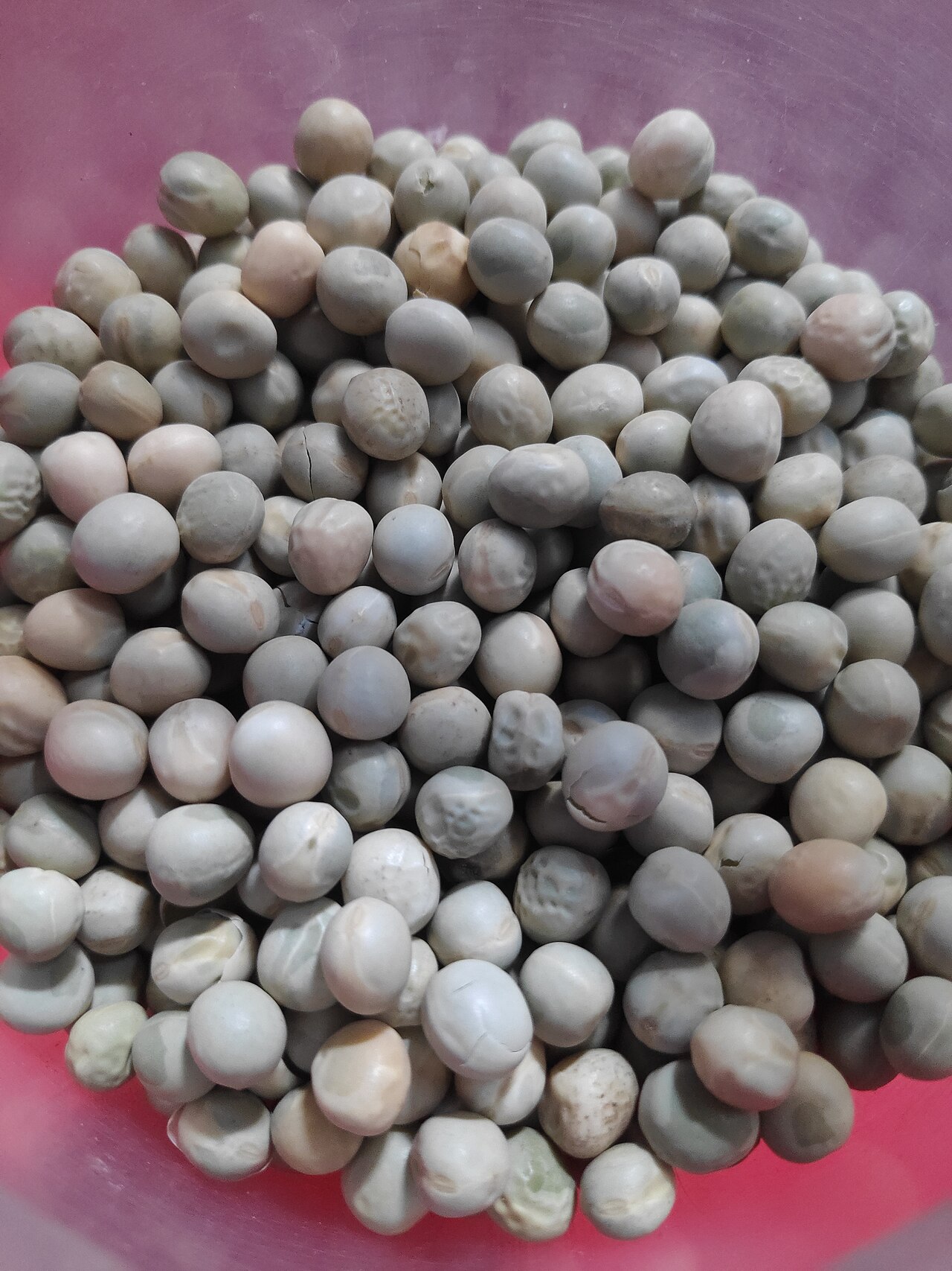 Green pea