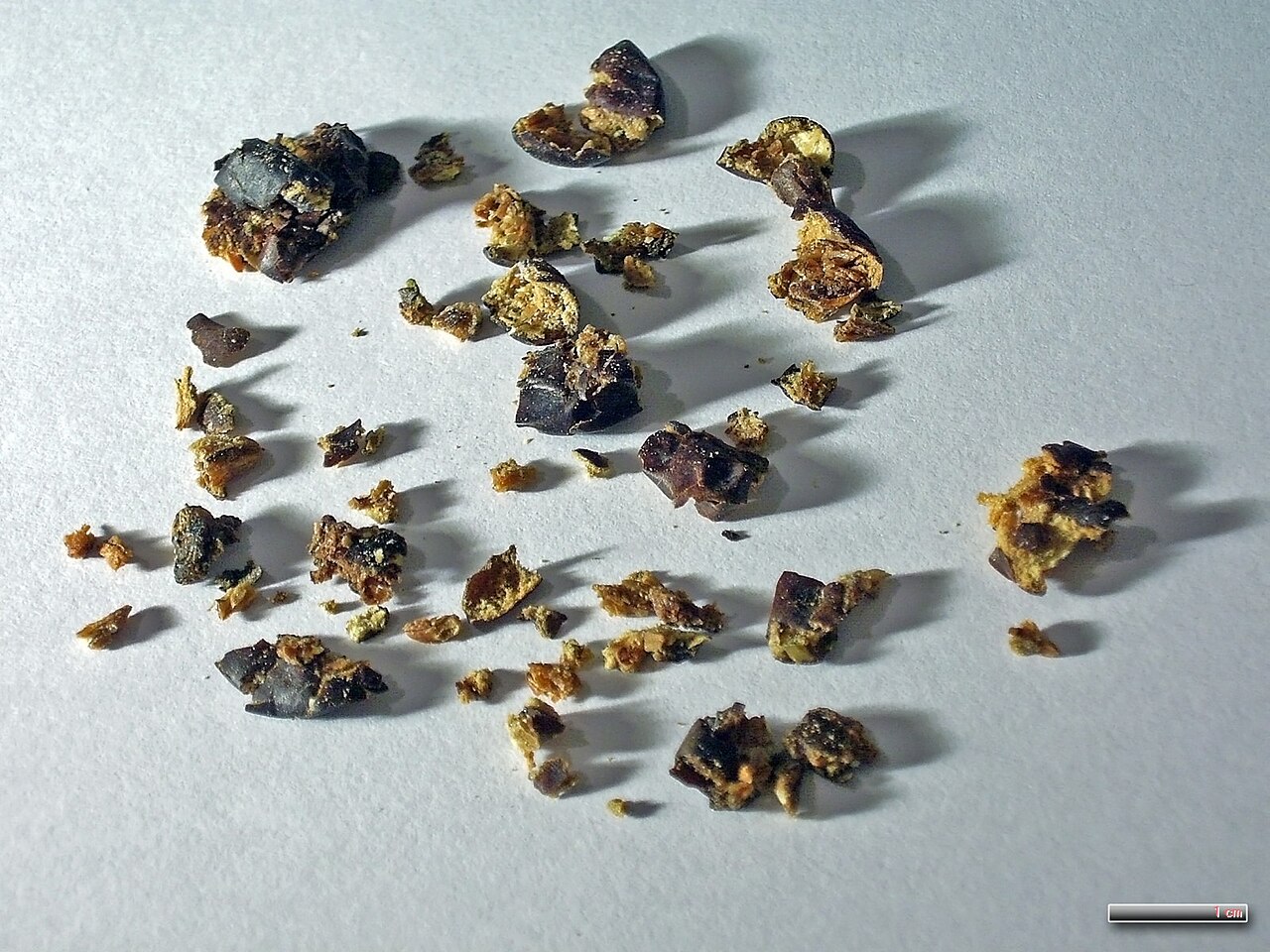 Juniper