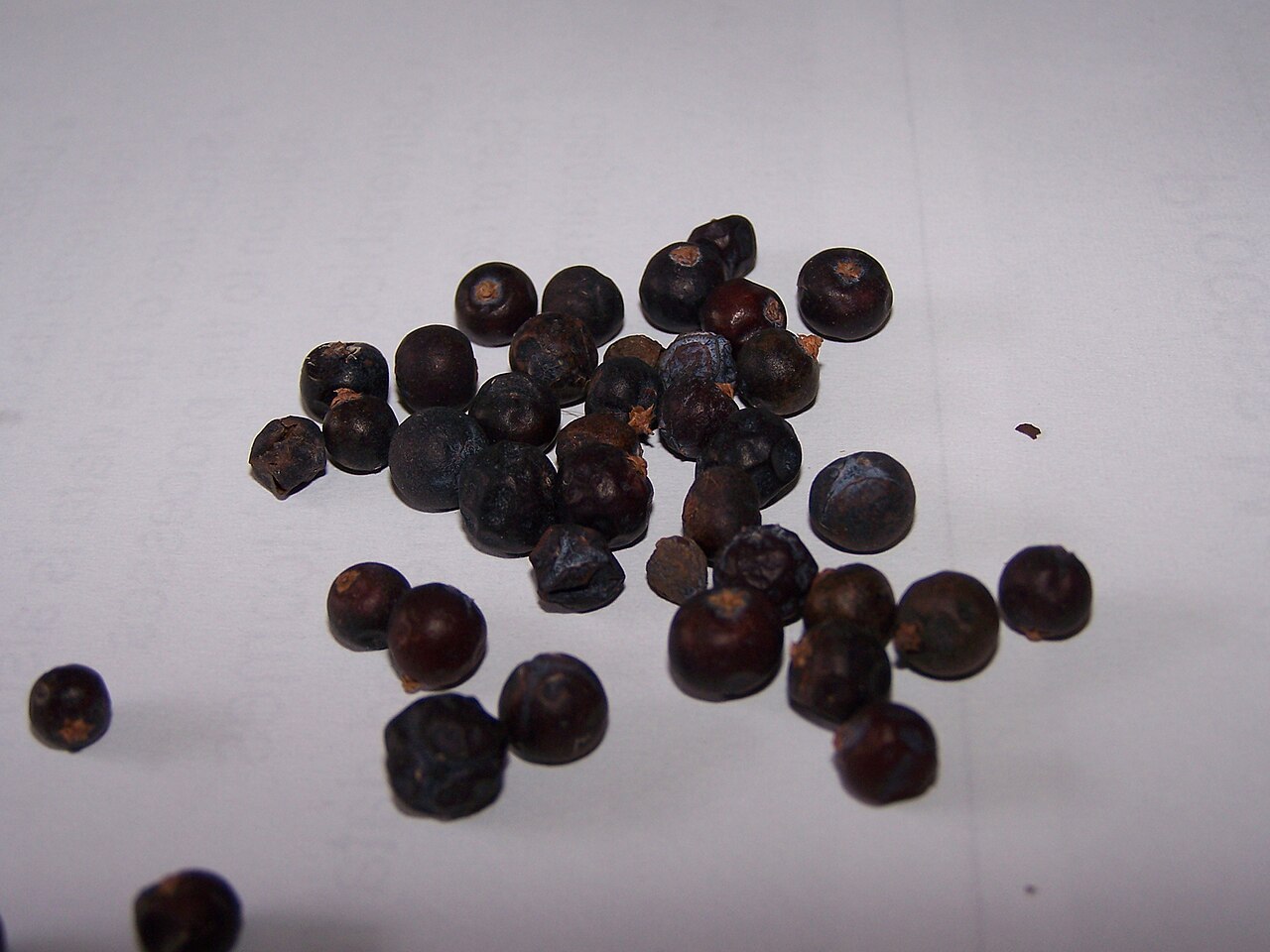 Juniper