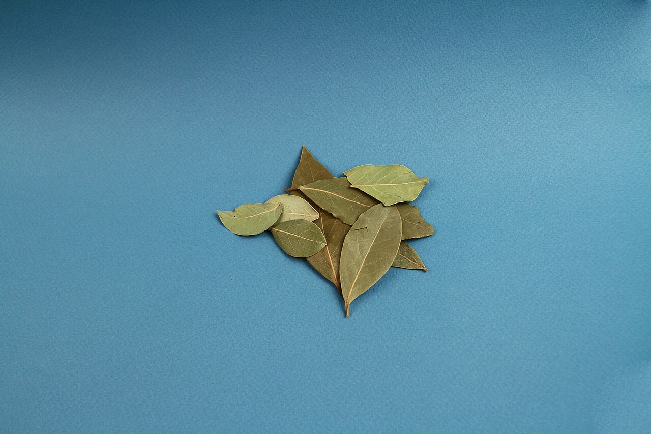 Laurels