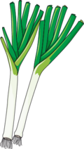Leek