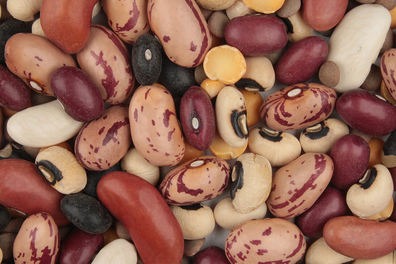 Legumes