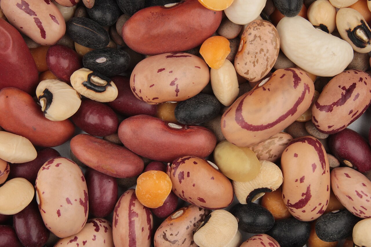 Legumes