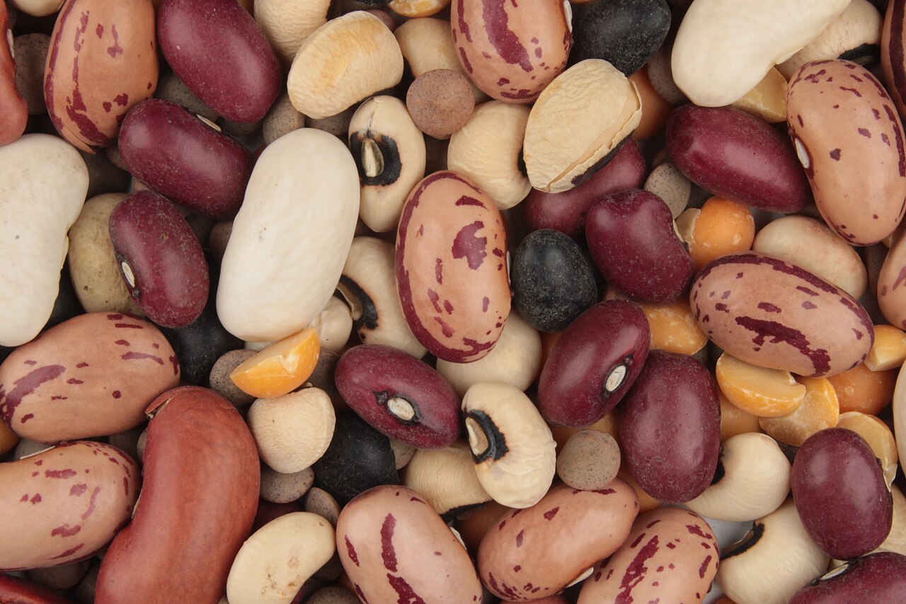 Legumes