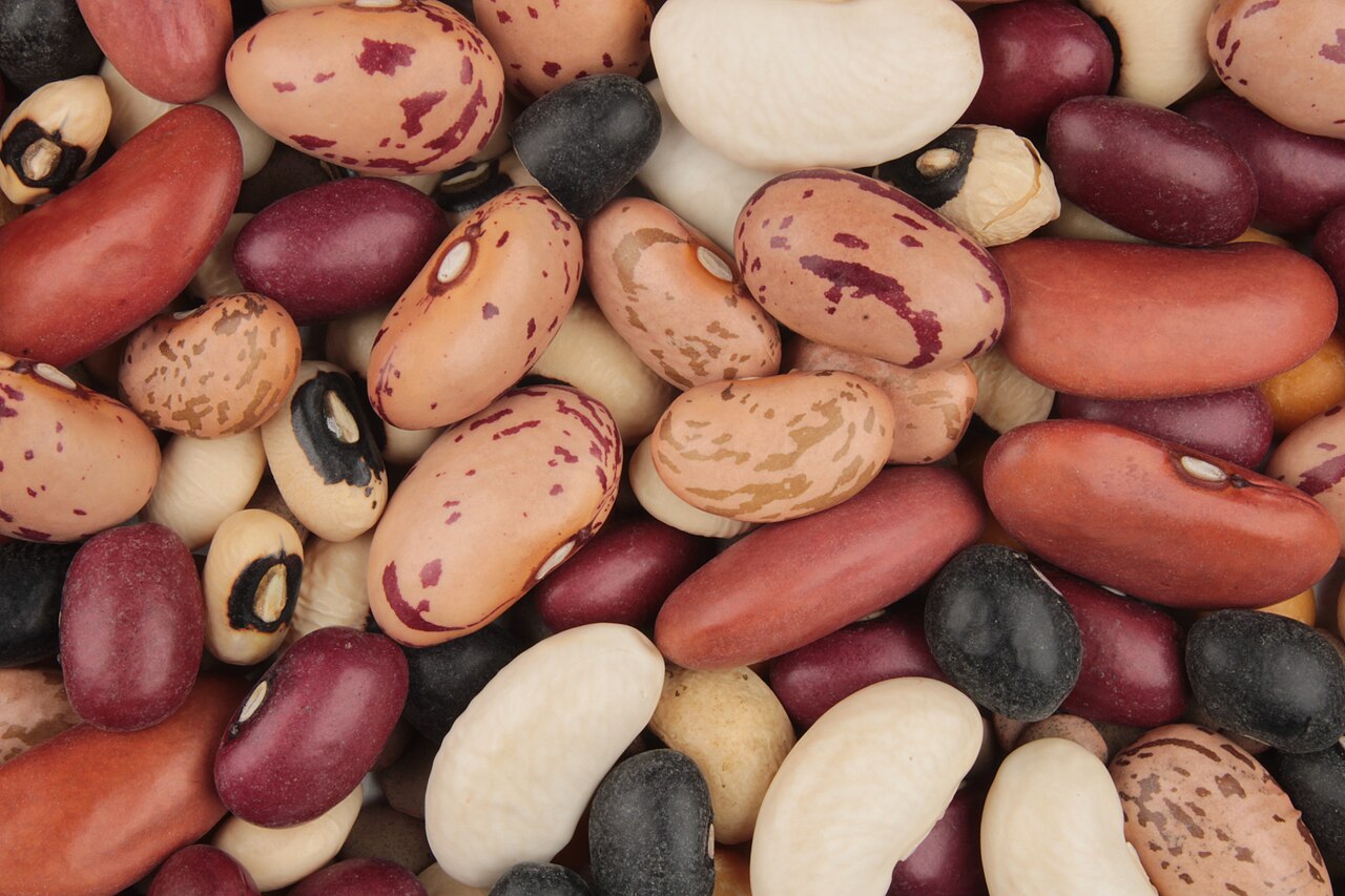 Legumes