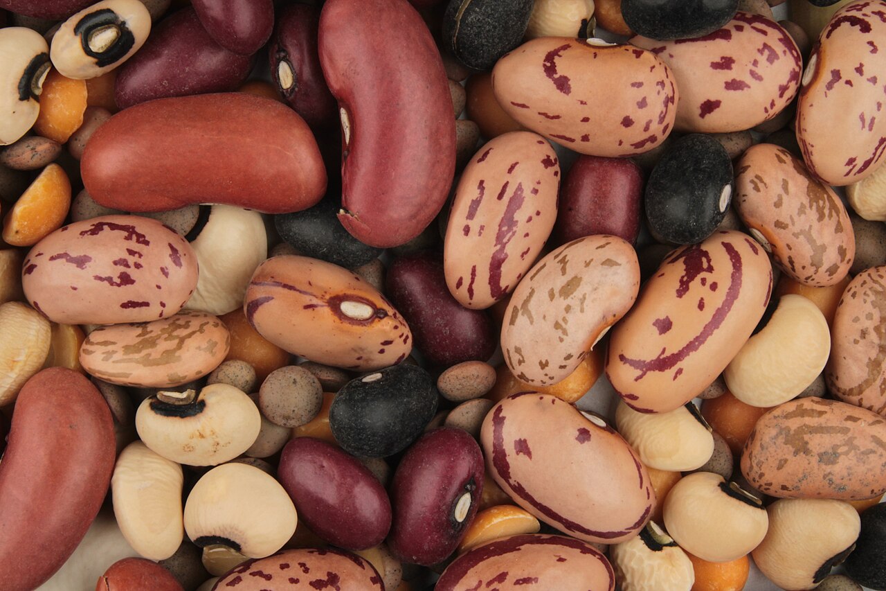 Legumes