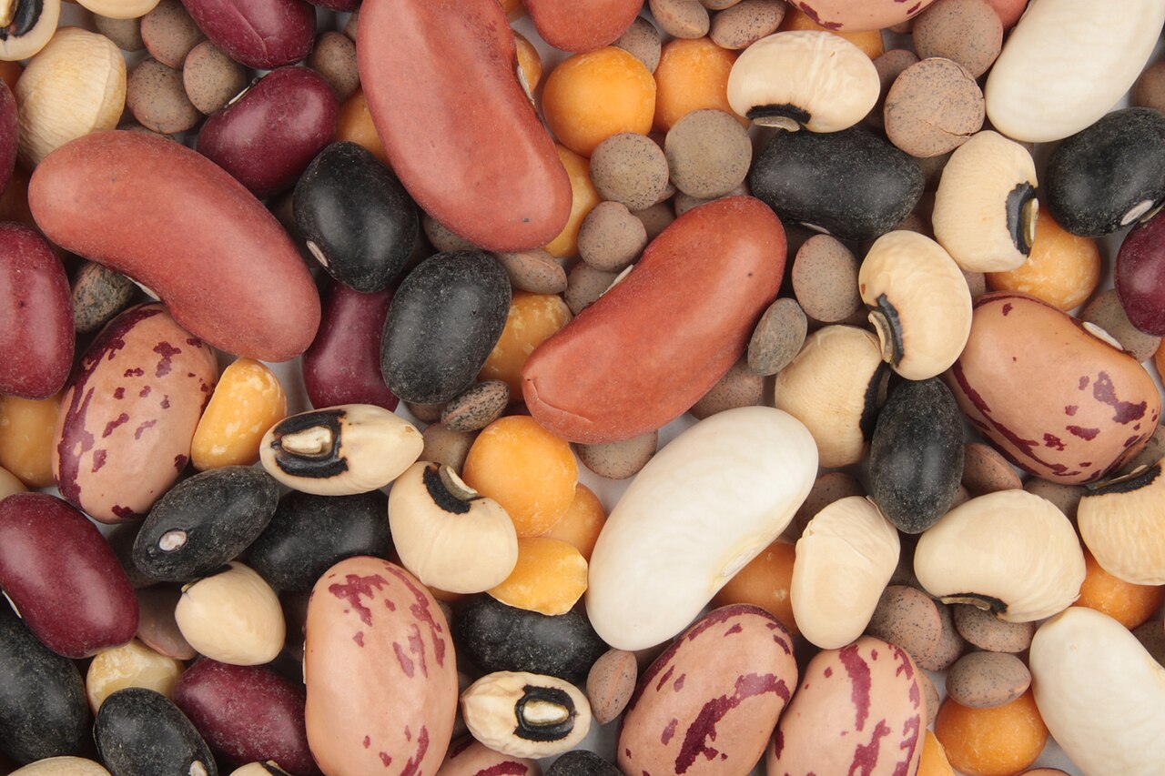 Legumes