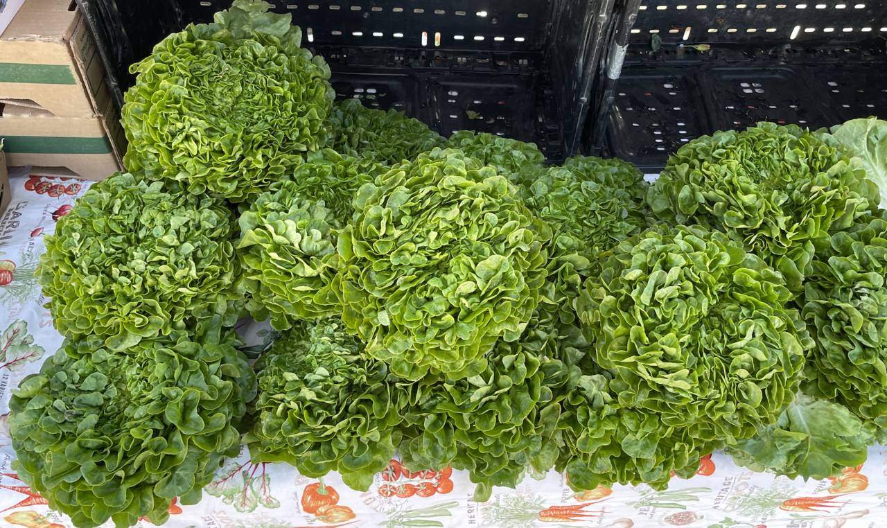 Lettuce