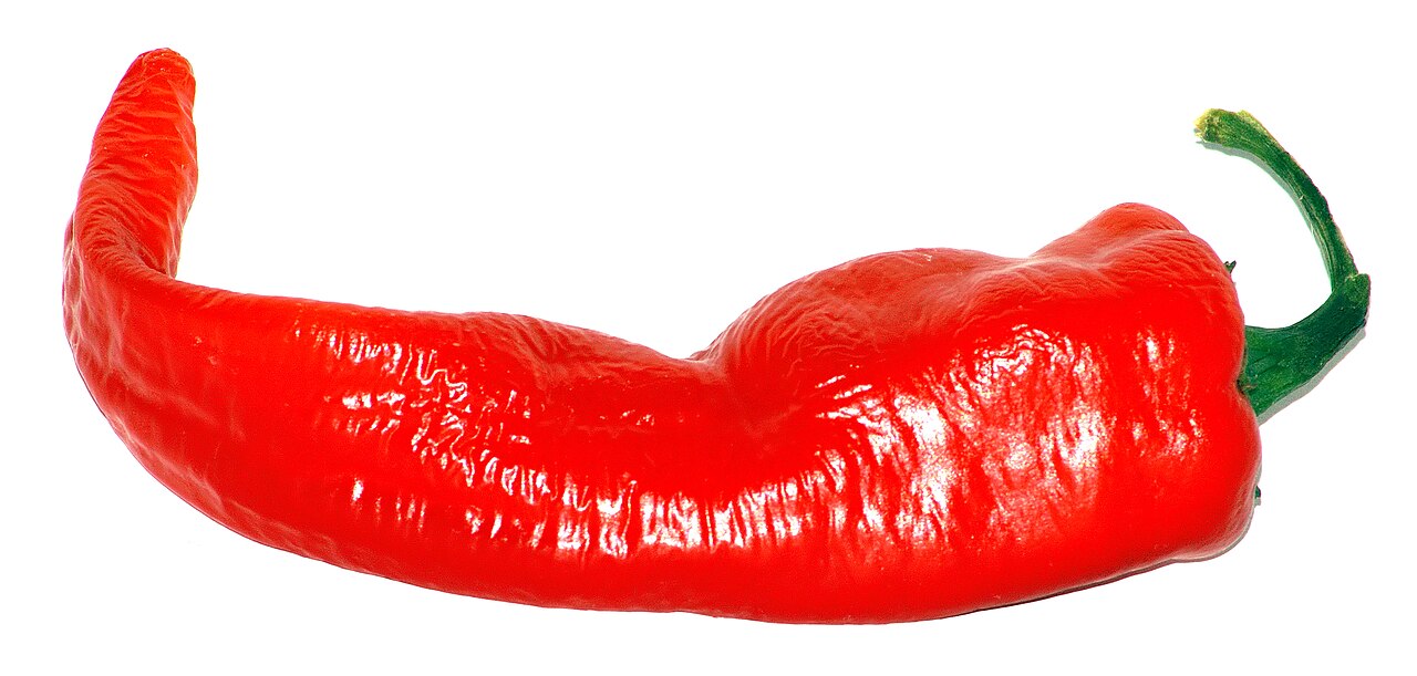 Long pepper