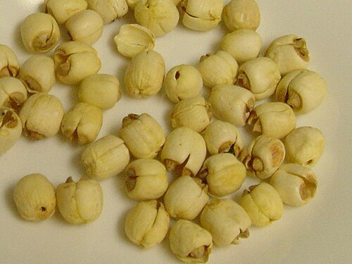Lotus seeds