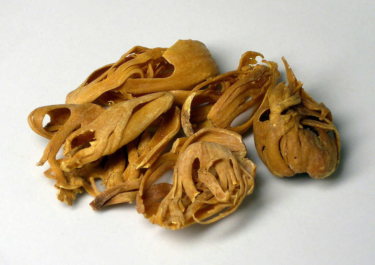 Mace