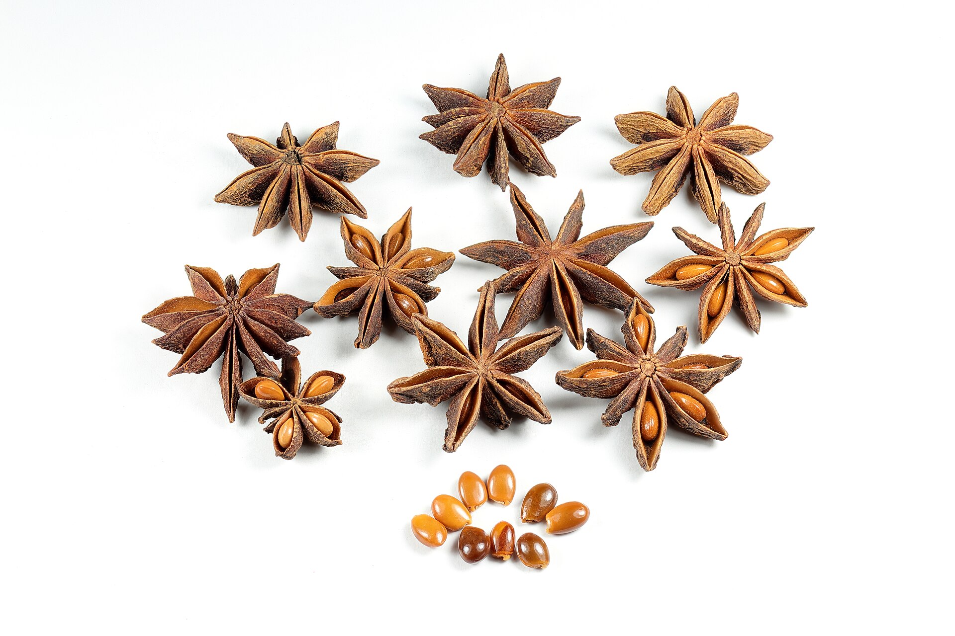 Magnoliids and Basal Angiosperms