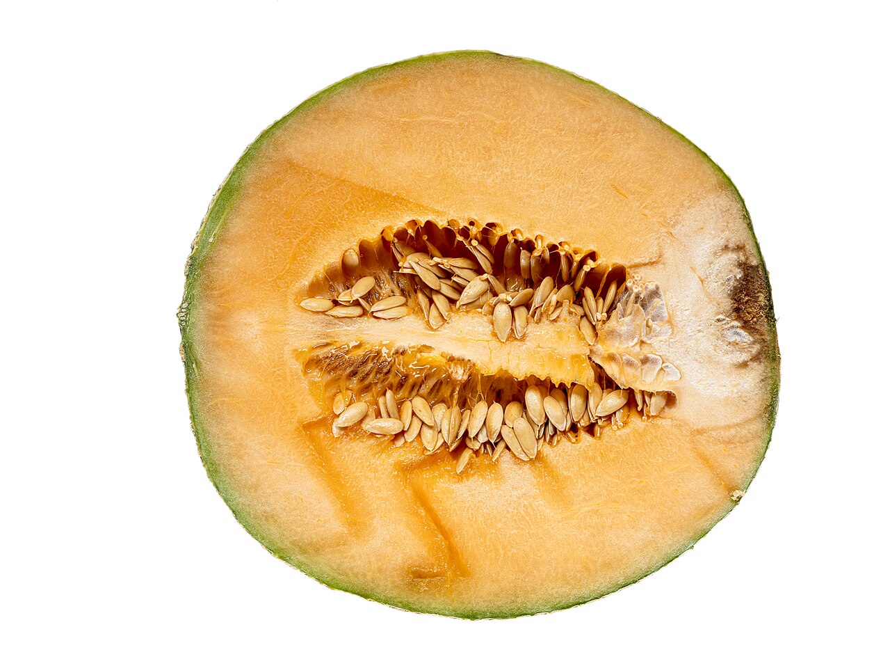 Melon