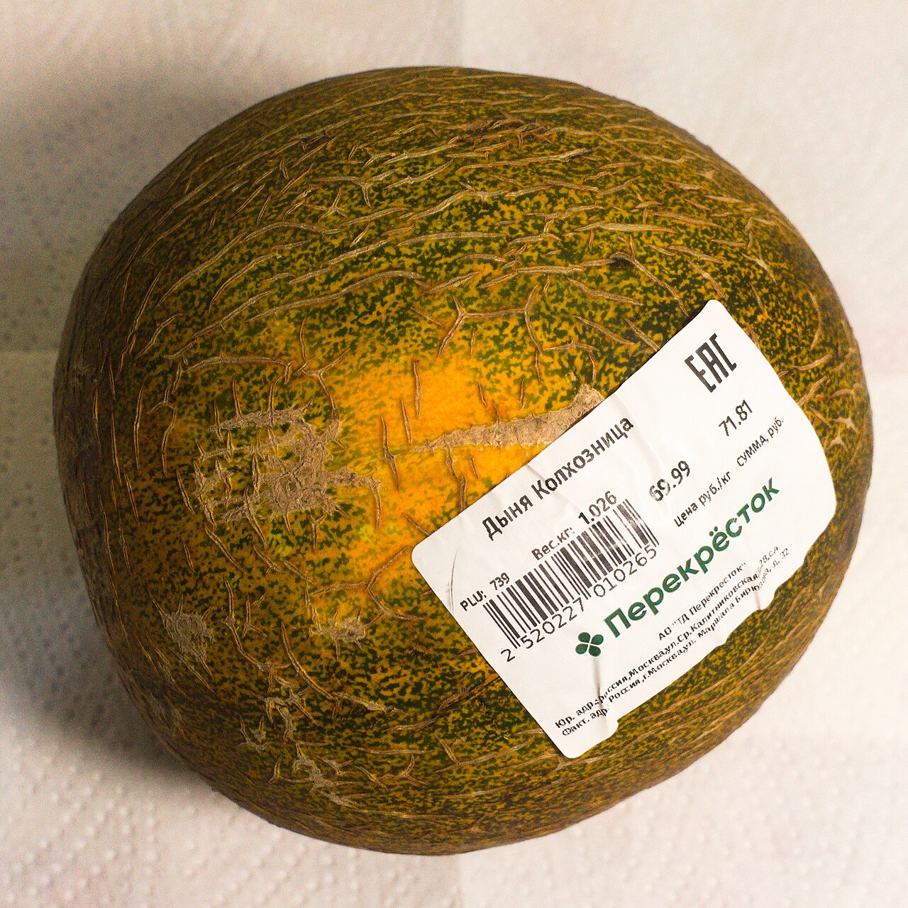 Melon