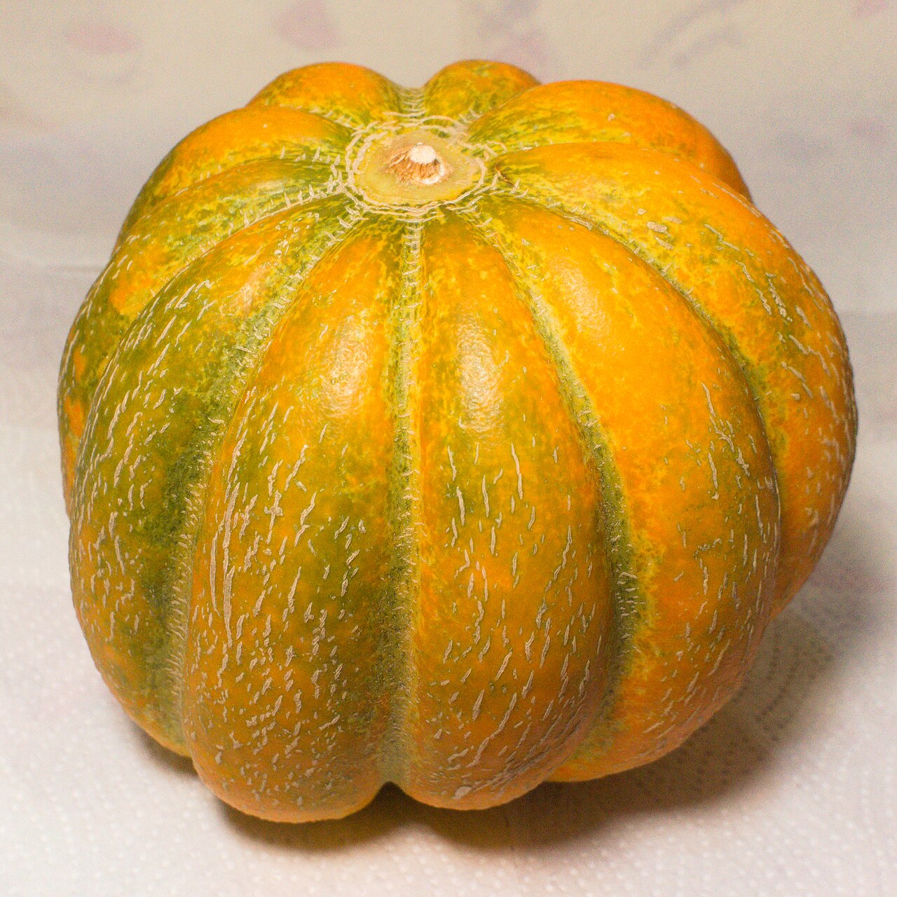 Pumpkin