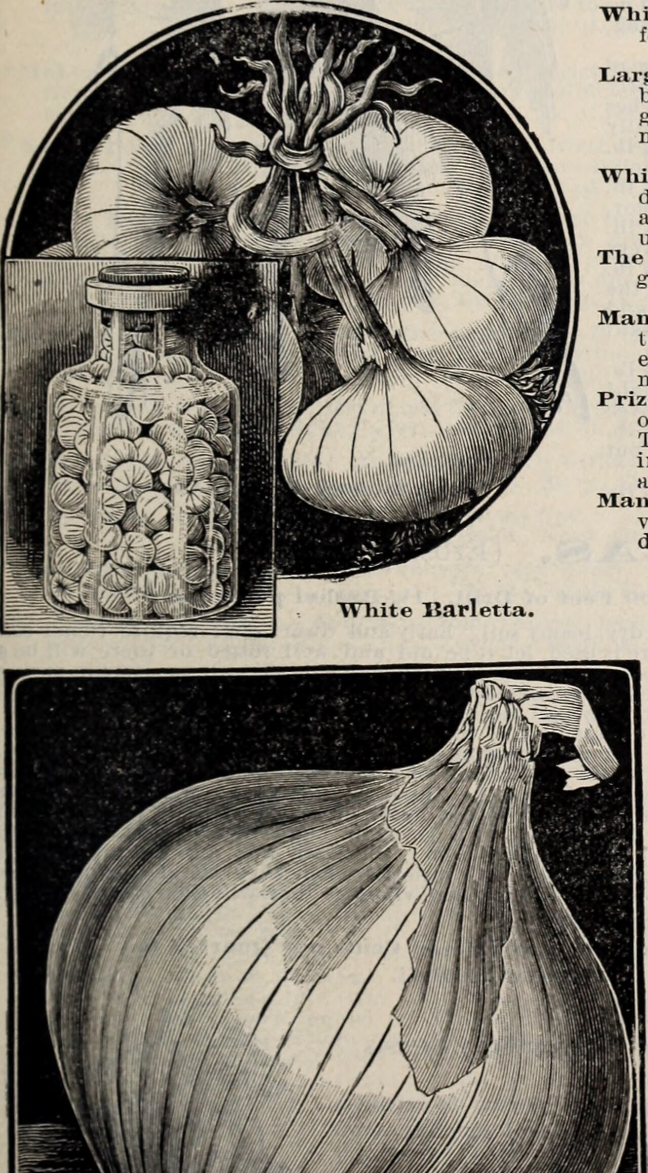 Niche garnish applications
