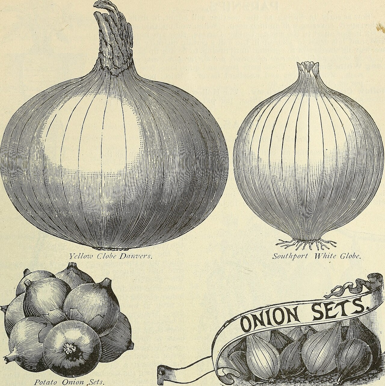 Niche garnish applications