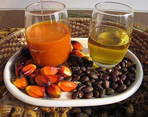 Oil palm fruit