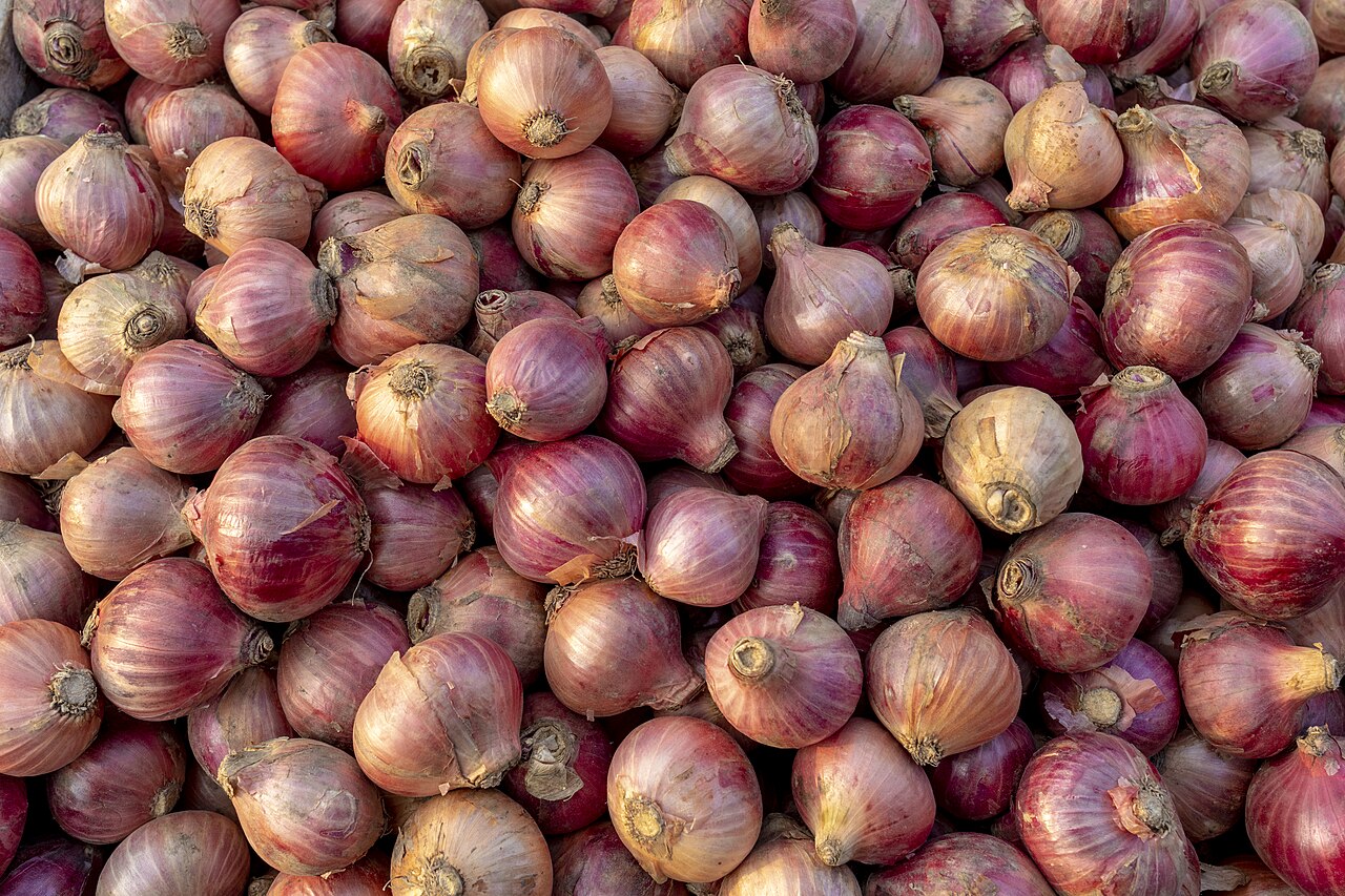 Onion