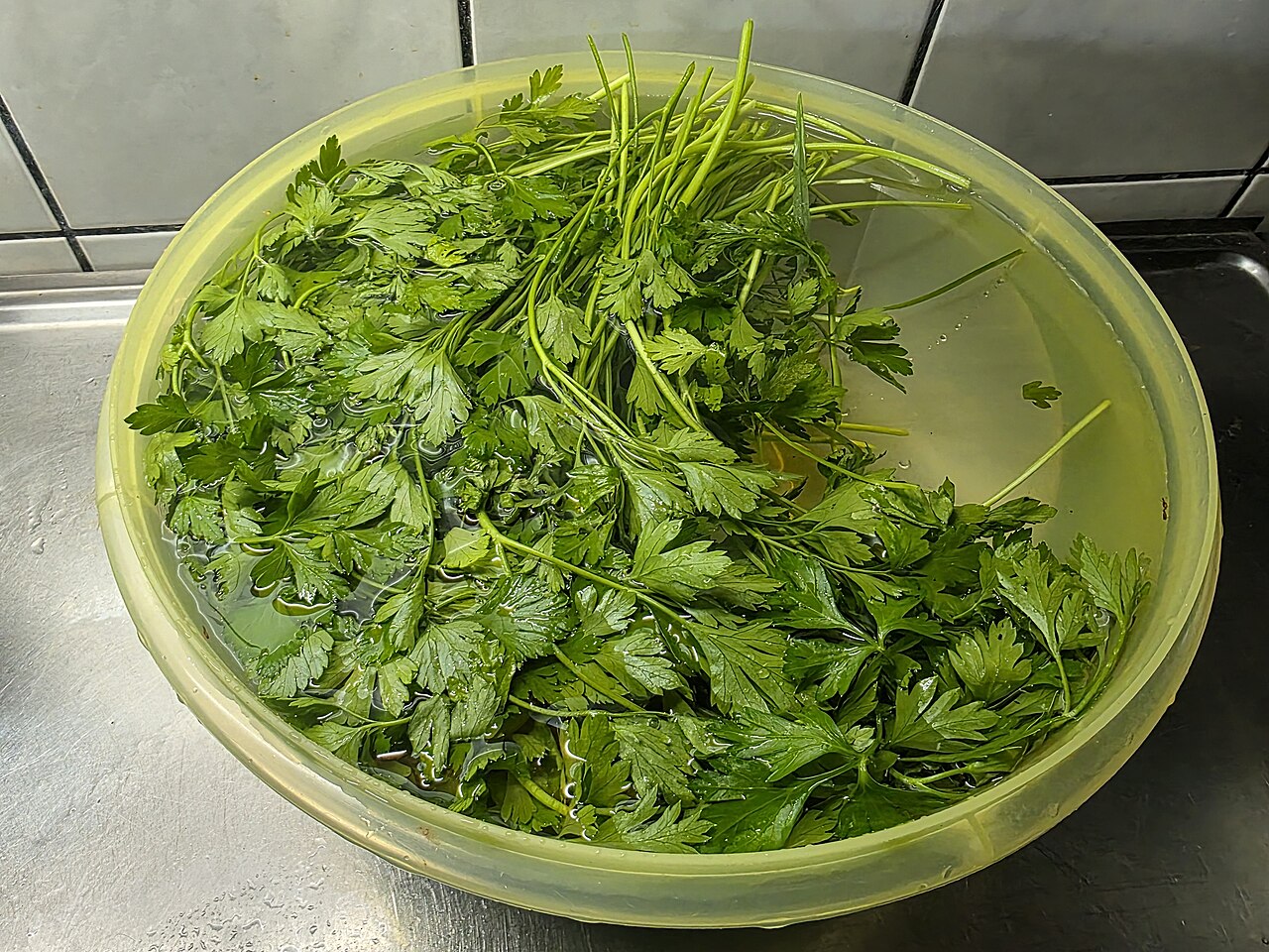 Parsley