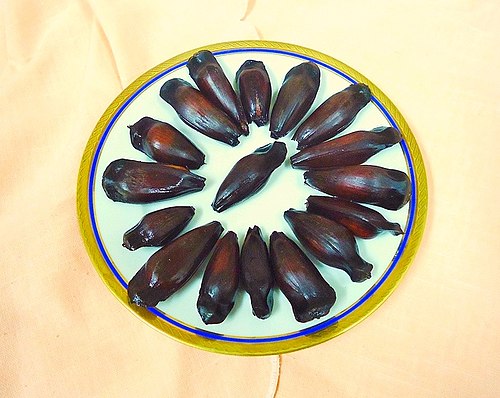Pine Nuts