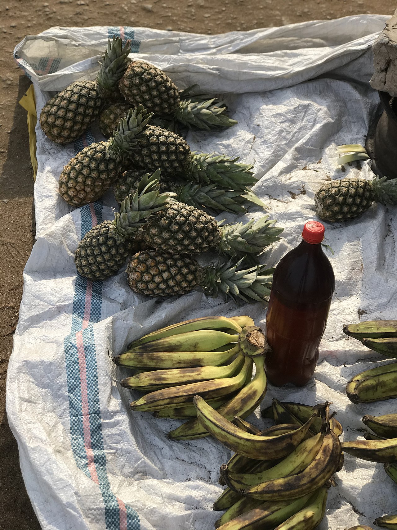 Plantain