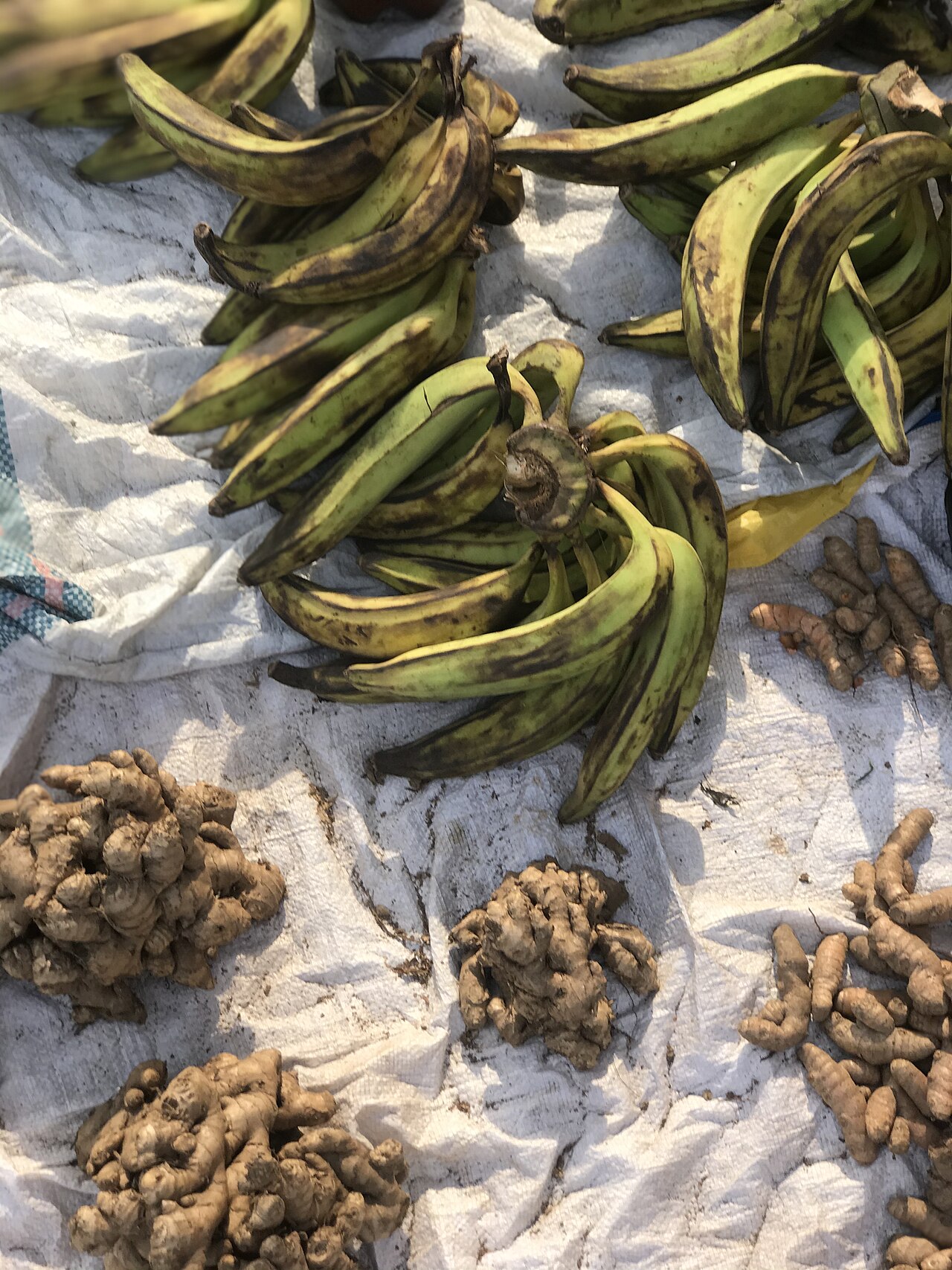 Plantain
