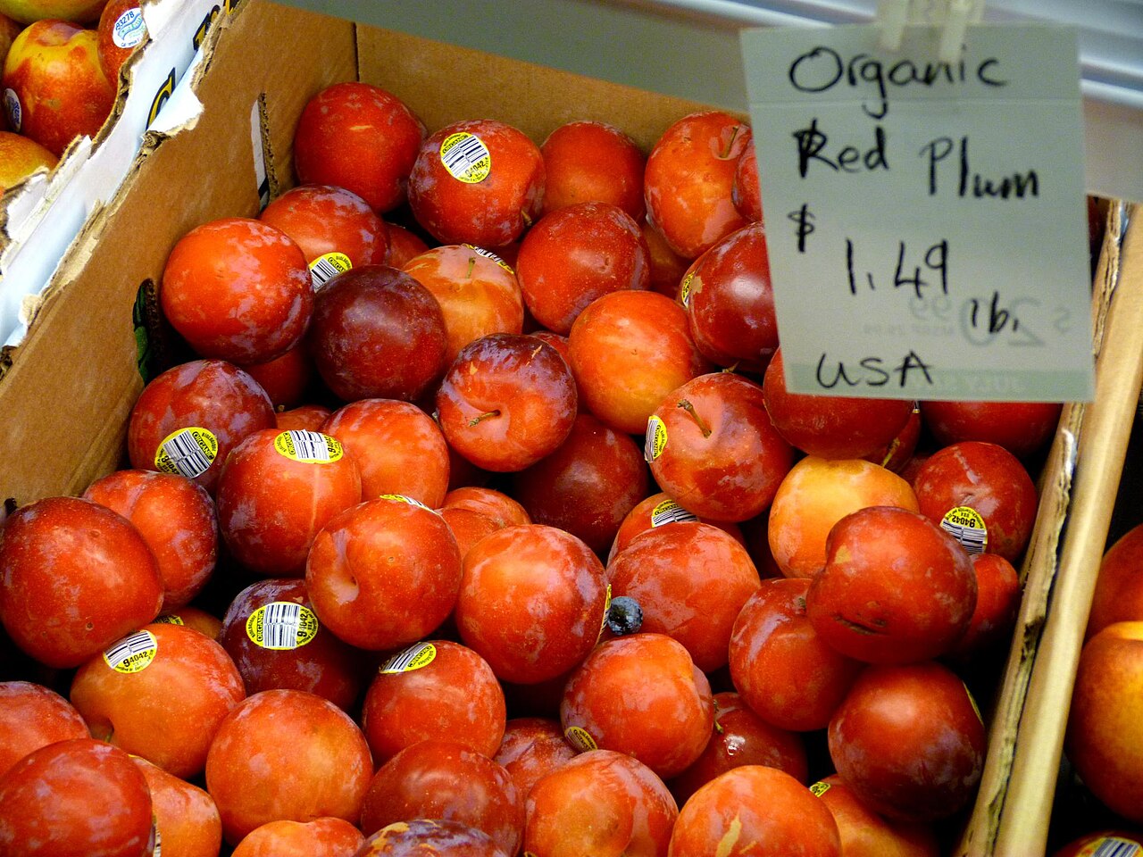 Plum