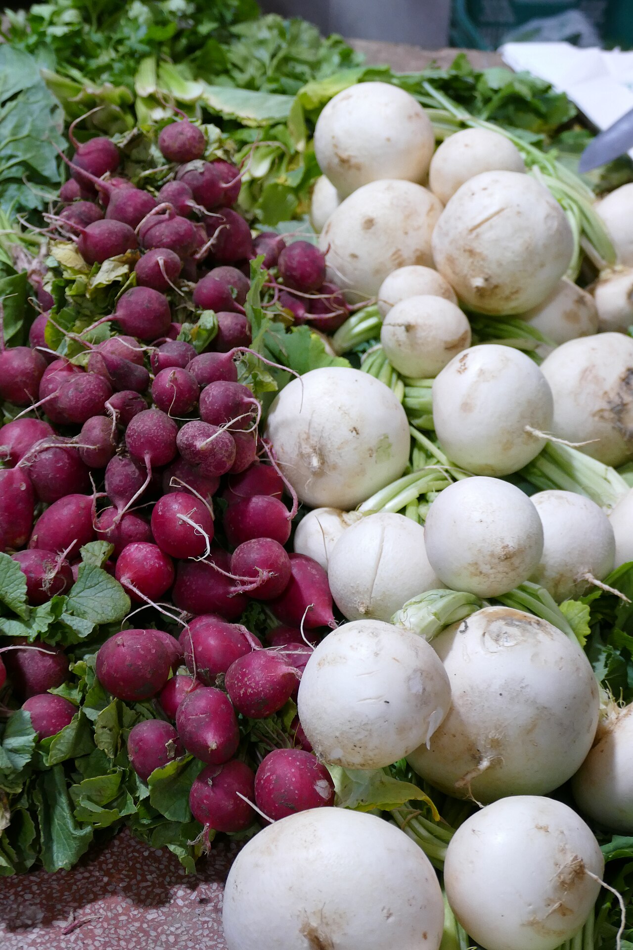 Radish