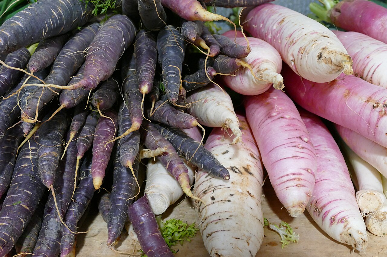 Radish