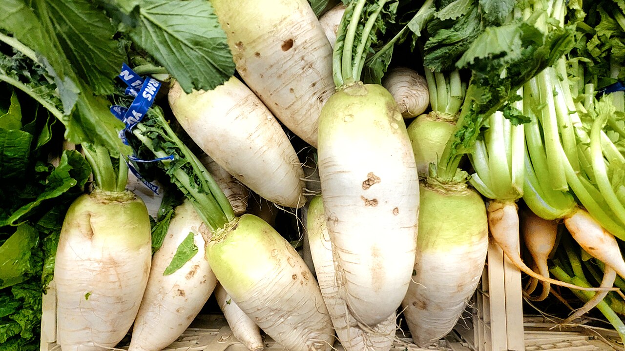 Radish