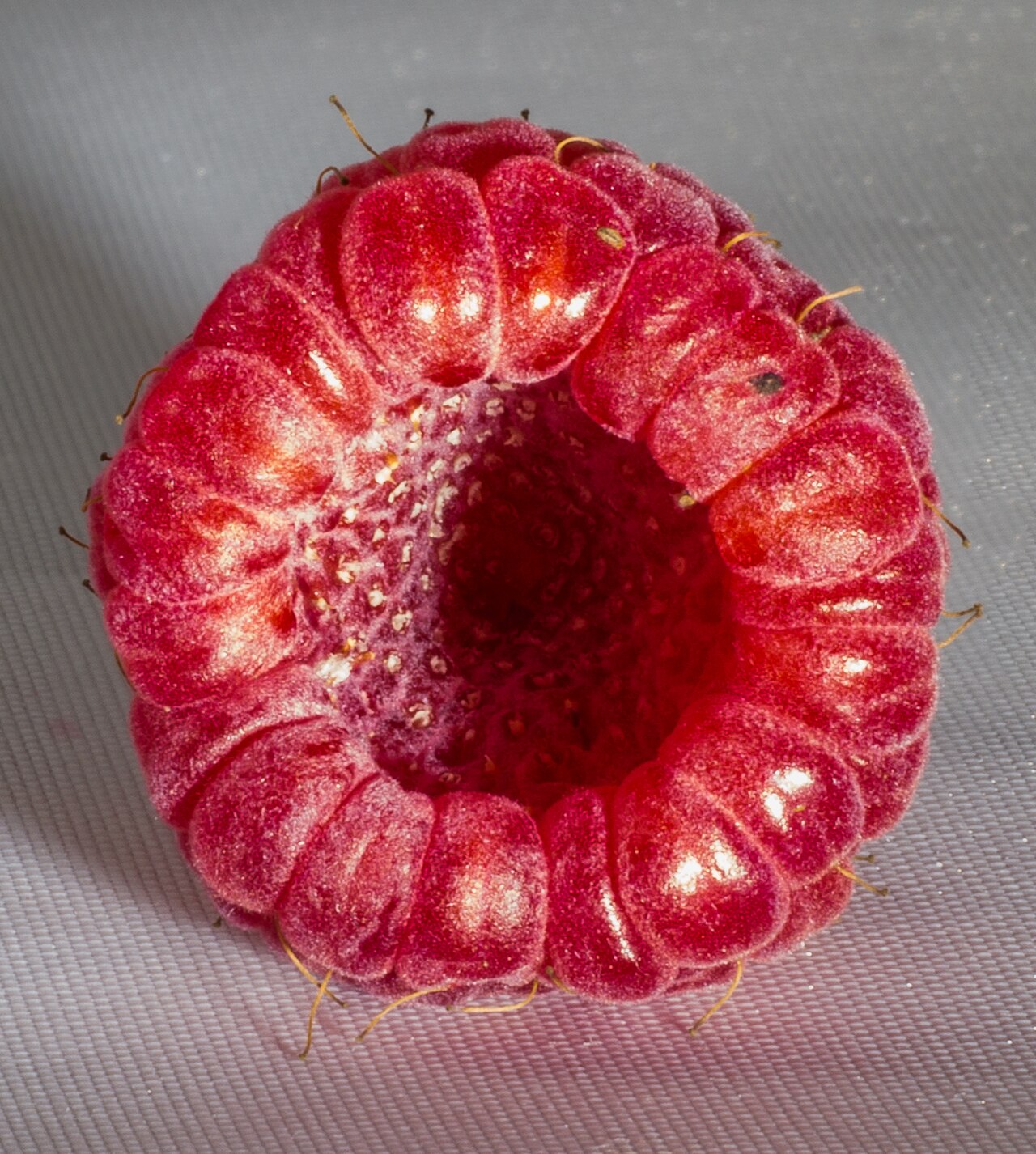 Raspberry
