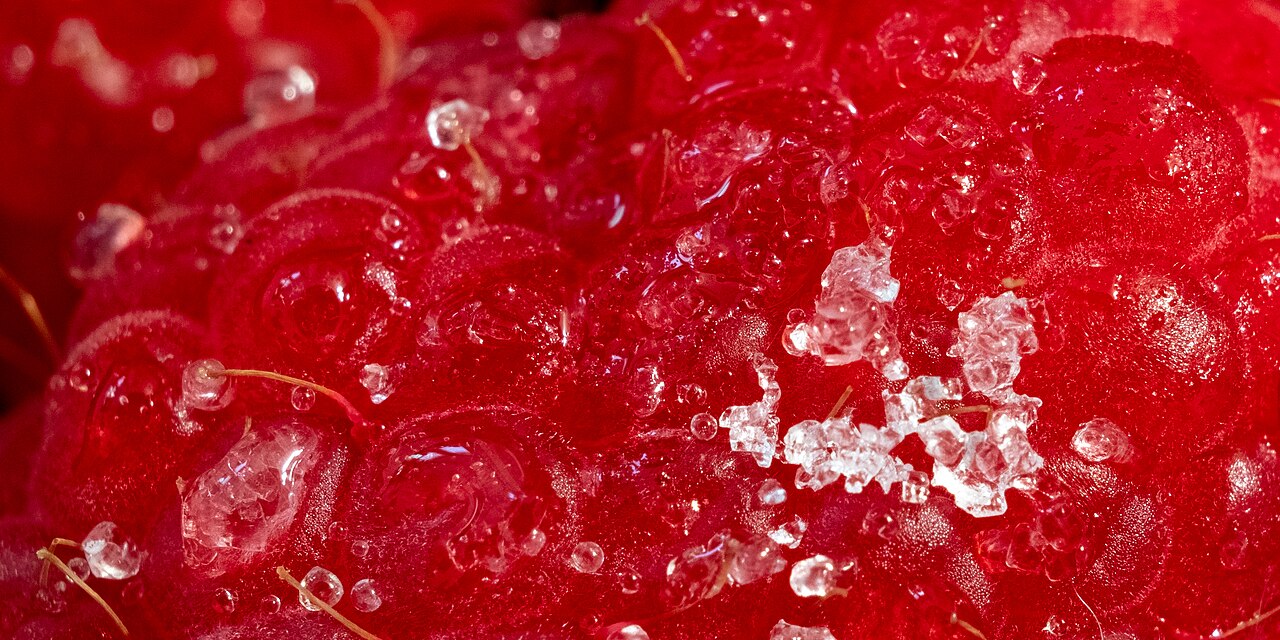 Raspberry