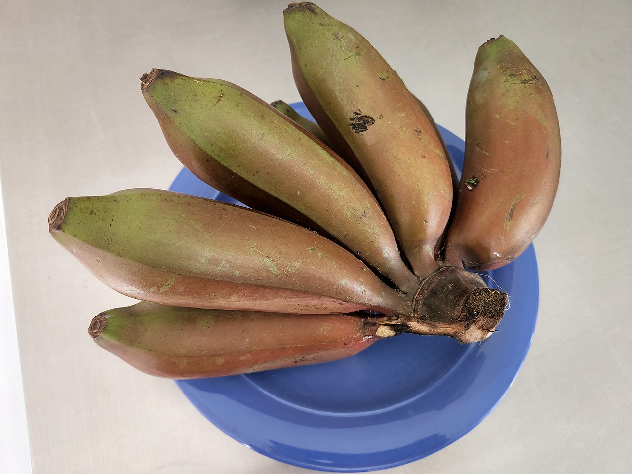 Red banana