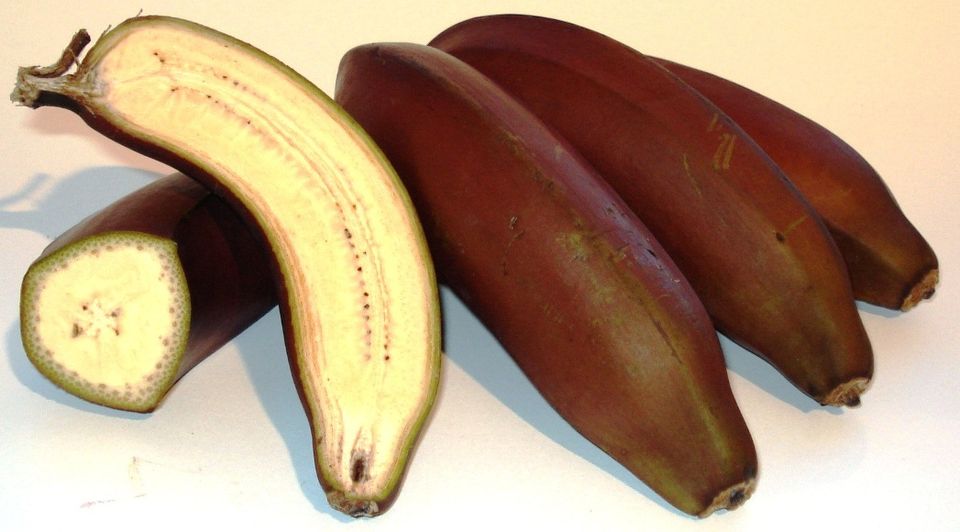 Red banana