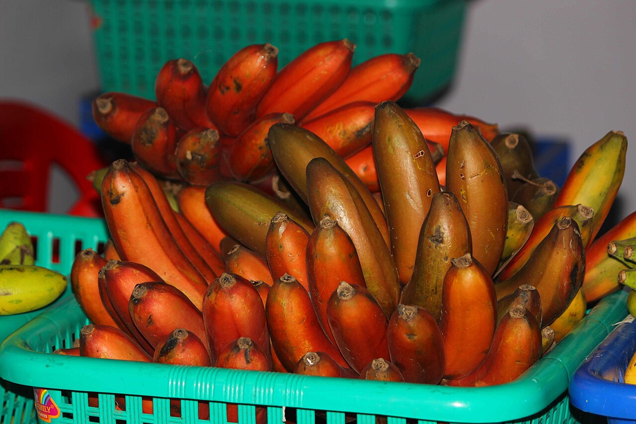 Red banana