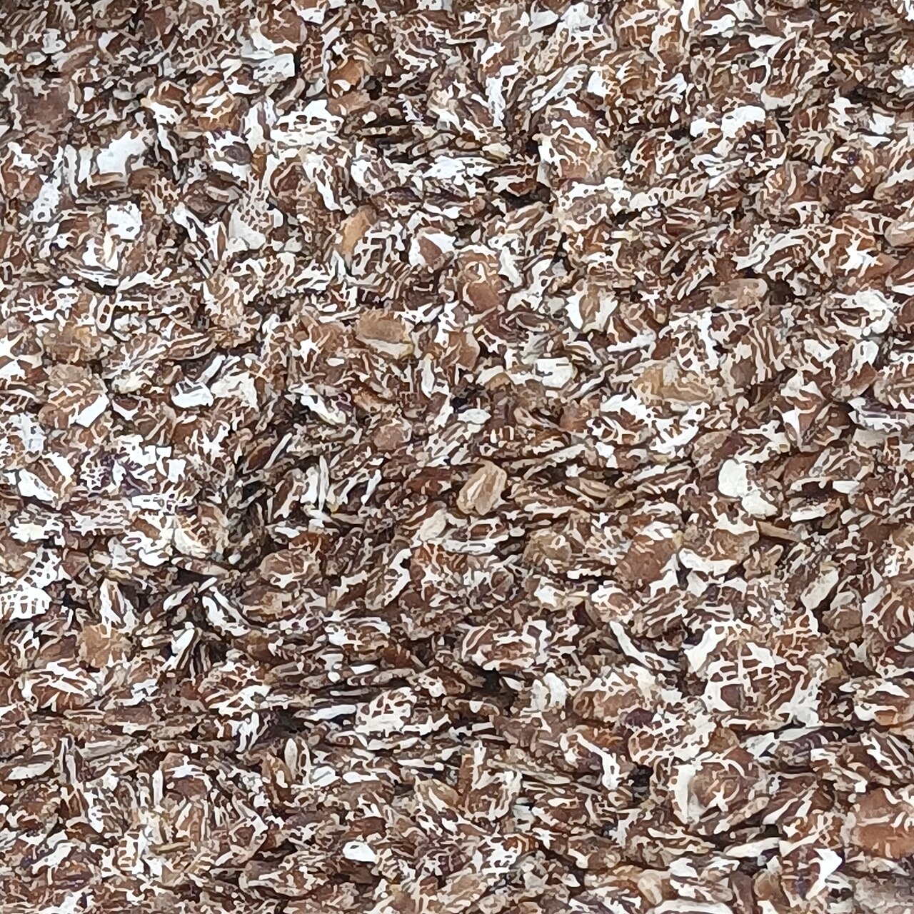 Rye