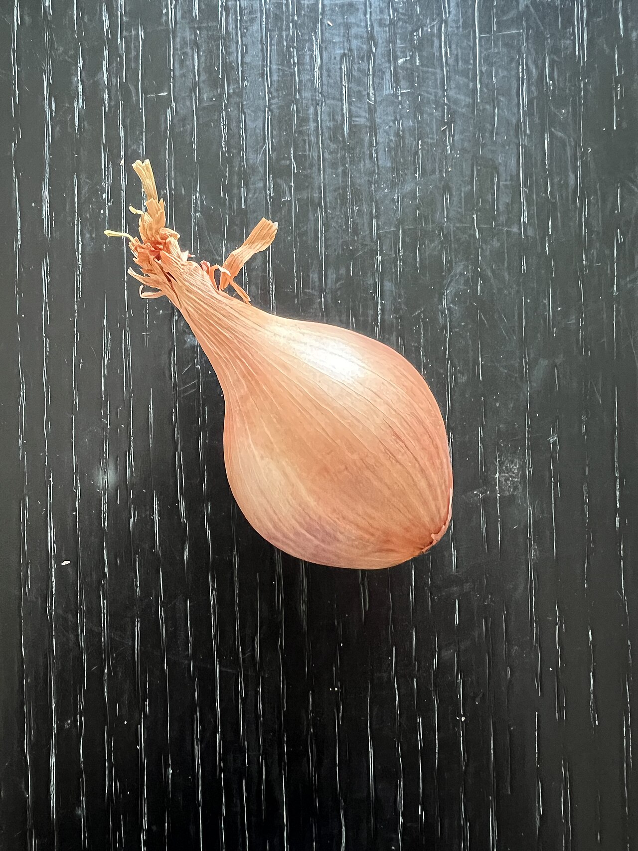 Shallot