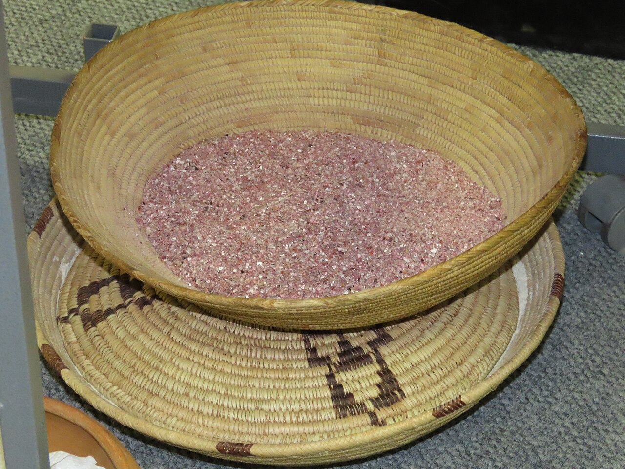 Sorghum
