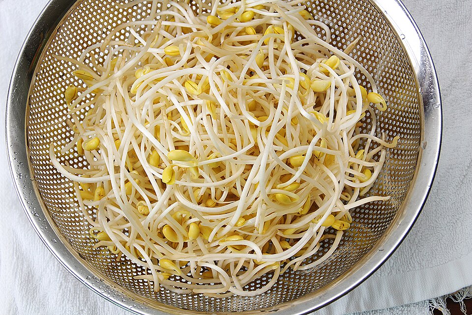 Soybean
