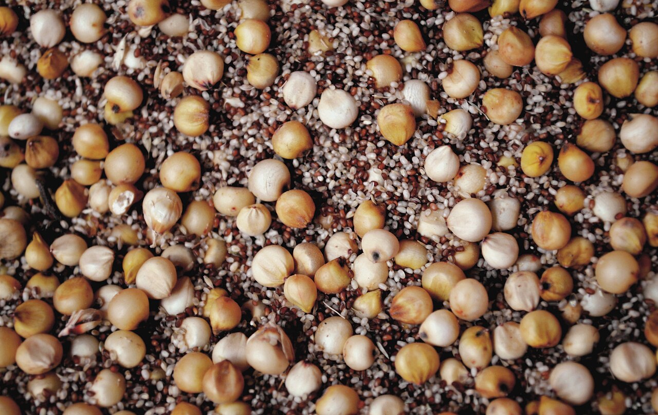 Teff