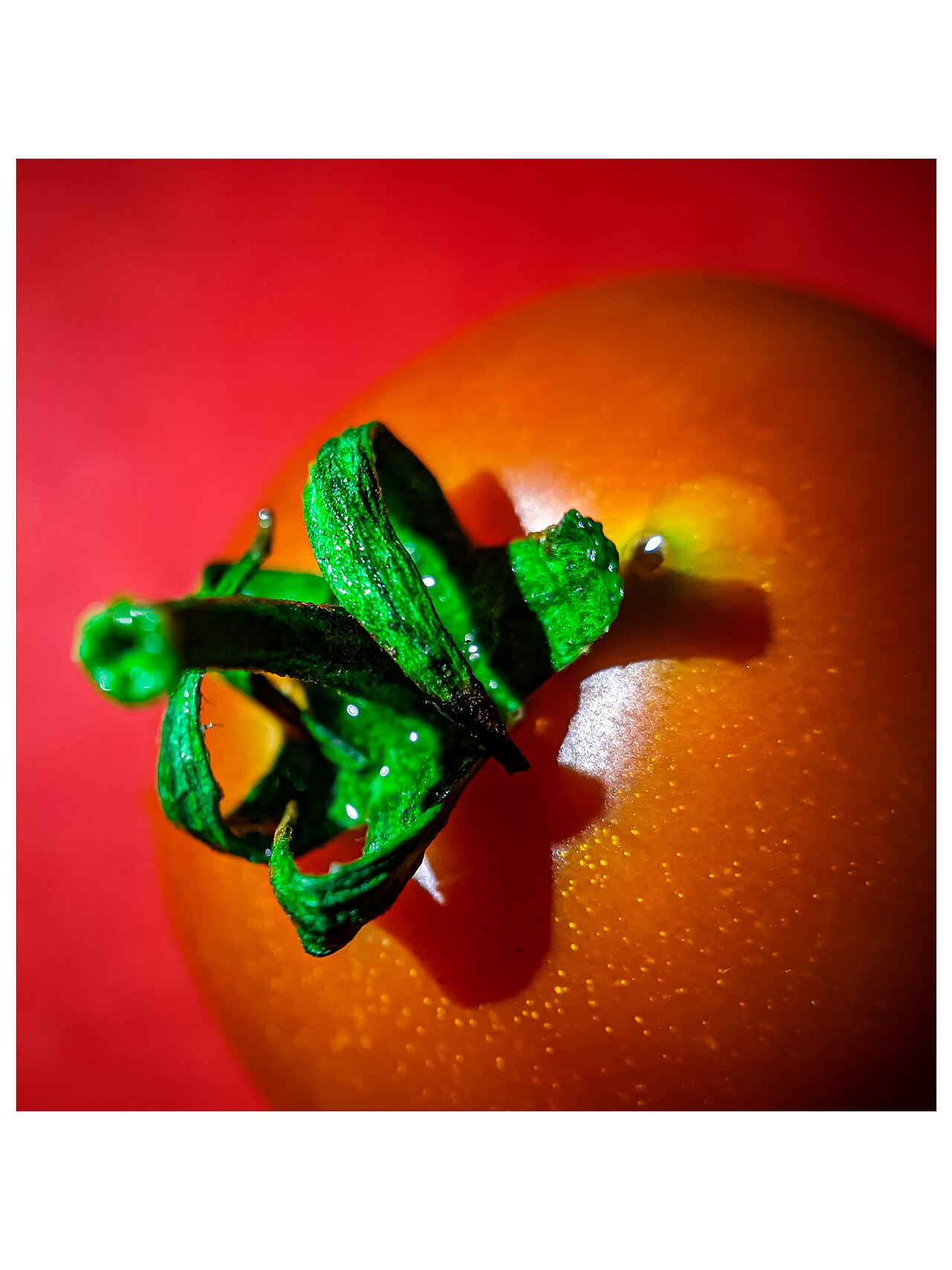 Tomato