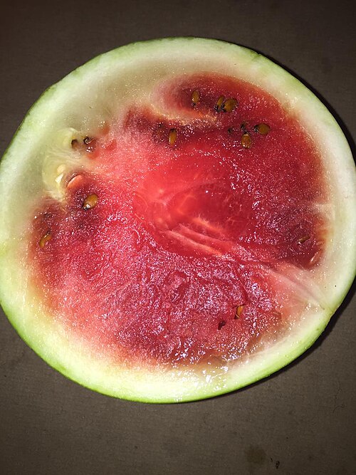 Watermelon