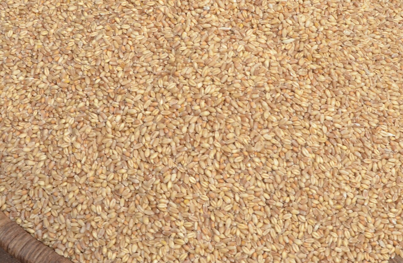 Wheat