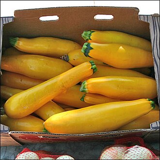 Zucchini
