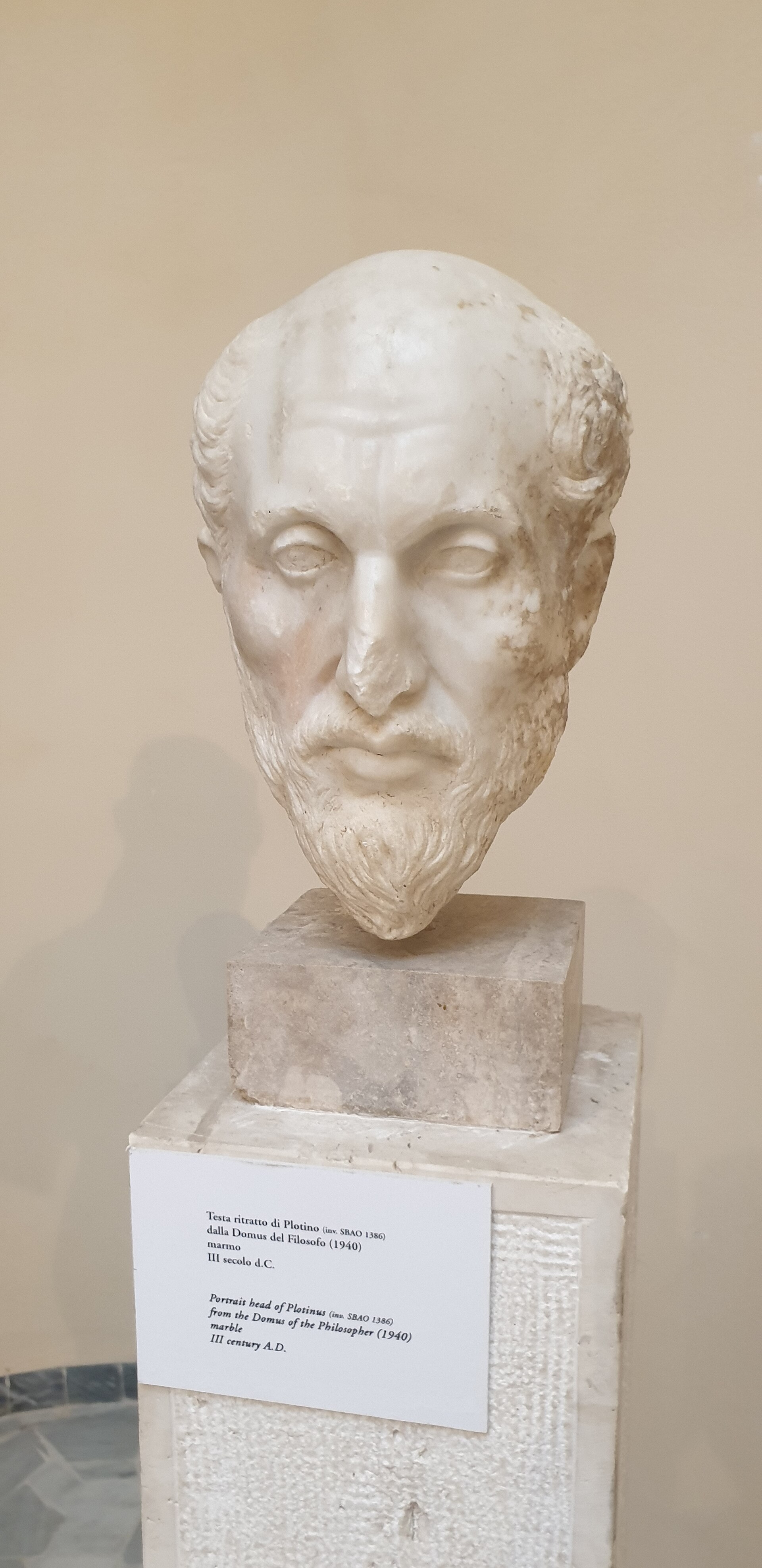 Head of Plotinus from the House of the Philosopher