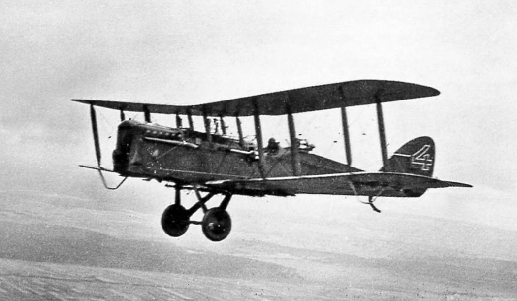 Polikarpov R-1 aircraft profile photograph