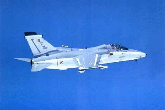 AMX International pics01.